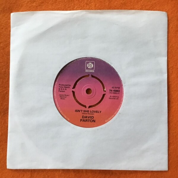 David Parton- Isn't She Lovely- Love & Peace of Mind- Pye Records 7" -1976