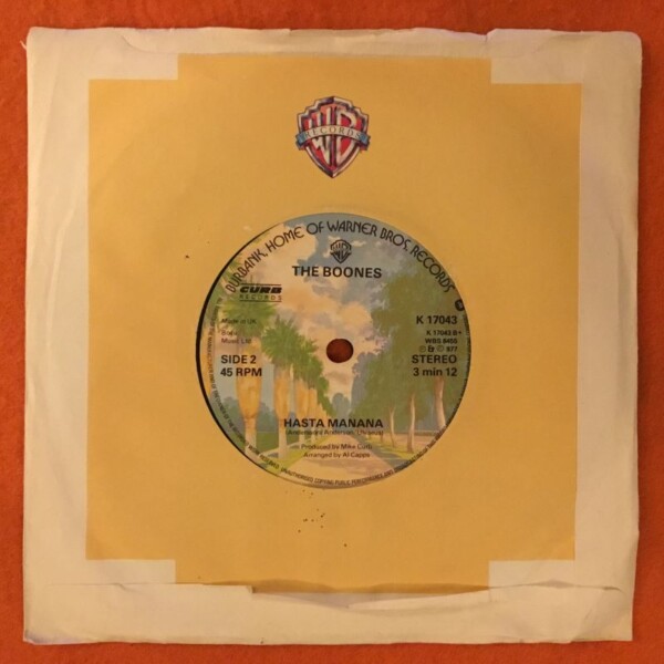 Debby Boone- You Light Up My Life- Warner Bros Records 7" 1977 - Image 2