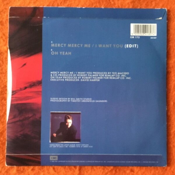 Robert Palmer- Mercy Mercy Me/I Want You- EMI Records 7" -1990 - Image 2